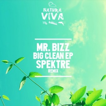 Mr. Bizz – Big Clean Ep
