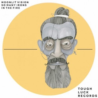 Moonlit Vision – So Many Irons in the Fire