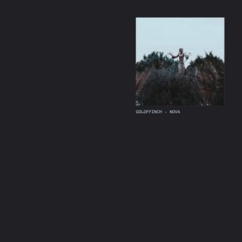 GoldFFinch – Nova