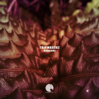 Tripmastaz – Blossomz