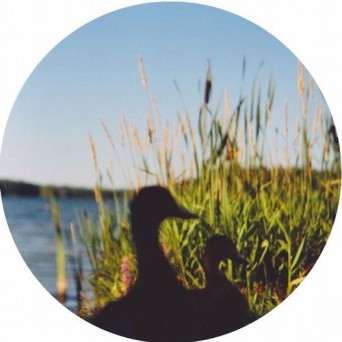 Johan Kaseta – The Erefora Land
