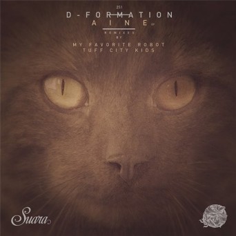D-Formation, Terry Numan – Aine EP