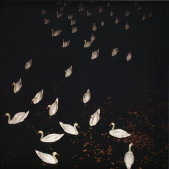 Atlantik – Sno