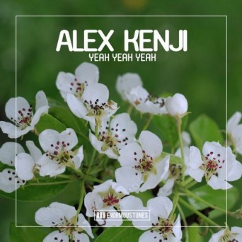 Alex Kenji – Yeah Yeah Yeah