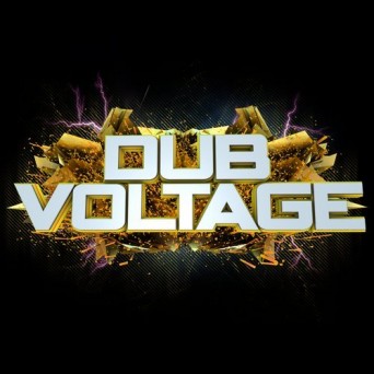 Dub Voltage: Best Of 2016