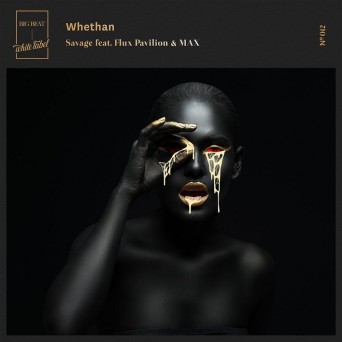 Flux Pavillion & Whethan – Savage