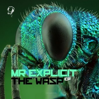 Mr Explicit – Wasp EP