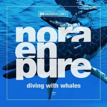 Nora En Pure – Diving with Whales