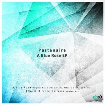 Partenaire – A Blue Rose