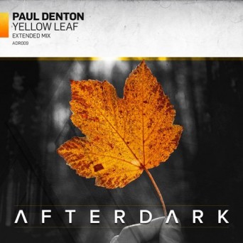 Paul Denton – Yellow Leaf