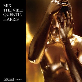 Mix The Vibe: Quentin Harris Timeless Re-Collection