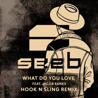 Seeb – What Do You Love (feat. Jacob Banks) [Hook N Sling Remix]