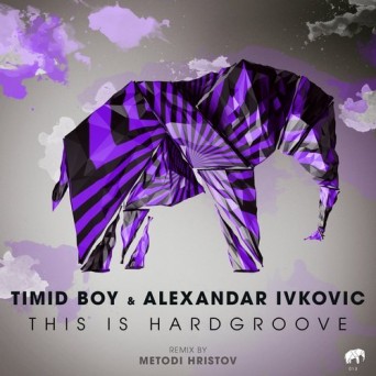 Timid Boy – This Is Hardgroove