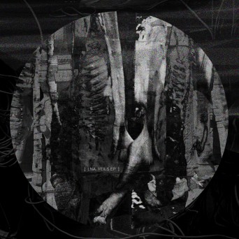 LNA – Veils
