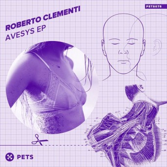 Roberto Clementi – Avesys