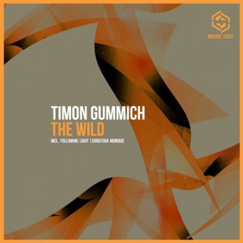 Timon Gummich – The Wild