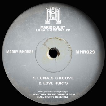 Mario Djust – Luna’s Groove