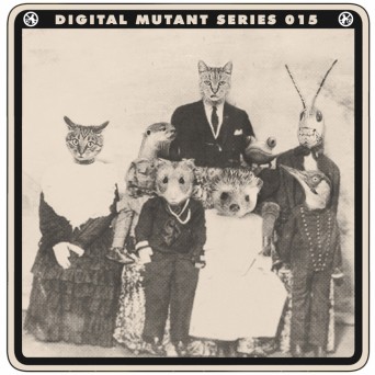 Cats Soiled – Weird Bestiary
