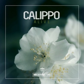 Calippo – Alive