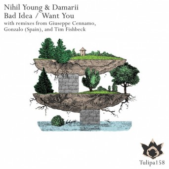 Nihil Young & Damarii – Bad Idea / Want You