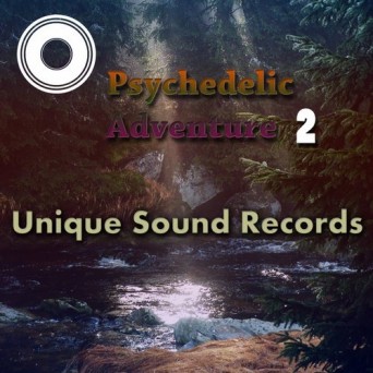 Unique Sound Records: Psychedelic Adventure 2