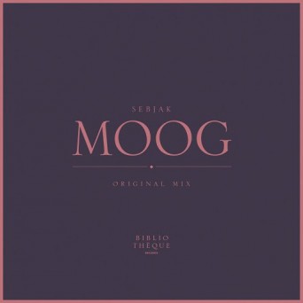 Sebjak – Moog