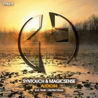 Syntouch & MagicSense – Audio #4