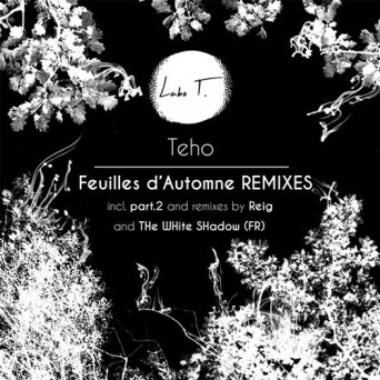 Teho – Feuilles d’automne Remixes