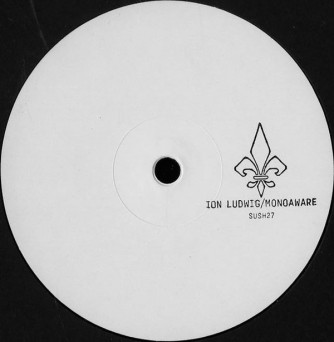 Ion Ludwig, Monoaware ‎– Split