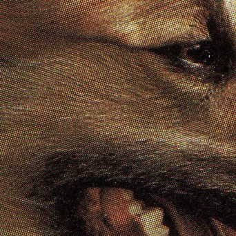 Panthera Krause – Stonith EP