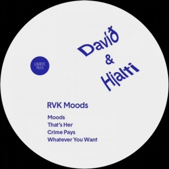 David & Hjalti – RVK Moods