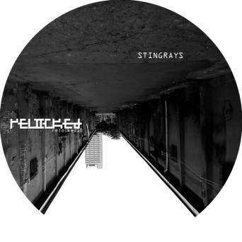 Stingrays – Relocked_10