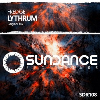 Fredge – Lythrum
