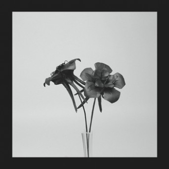 Jlin – Dark Lotus
