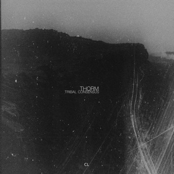 Thorm – Tribal Consensus