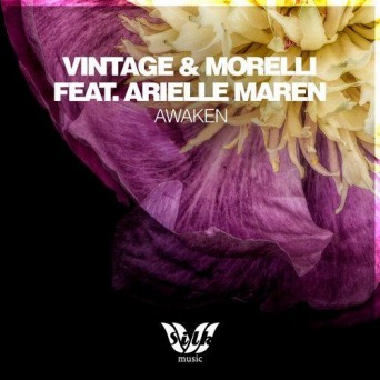 Vintage & Morelli & Arielle Maren – Awaken