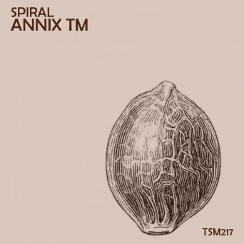 Annix TM – Spiral