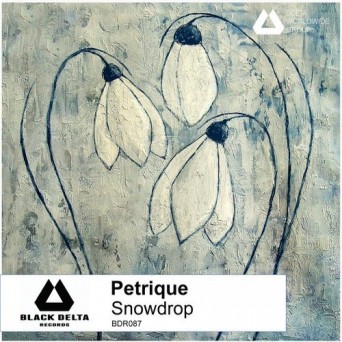 Petrique – Snowdrop