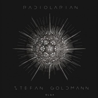 Stefan Goldmann – Radiolarian