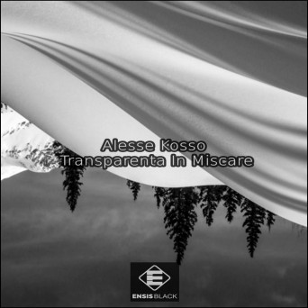 Alesse Kosso – Transparenta In Miscare