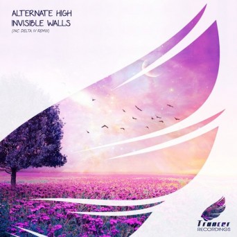 Alternate High – Invisible Walls
