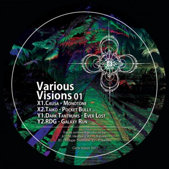 Causa, Taiko, Dark Tantrums & RDG – Various Visions 01