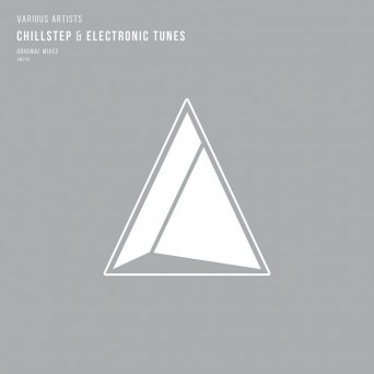 Astrolabe Recordings: Chillstep & Electronic Tunes