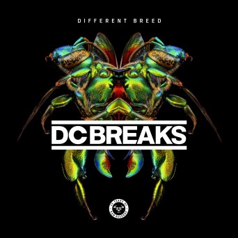 DC Breaks – Swag 2017