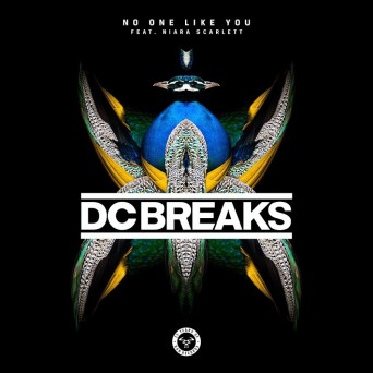 DC Breaks – No One Like You (feat. Niara Scarlett)