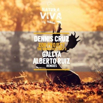 Dennis Cruz – Zoo Project The Remixpack Part 3