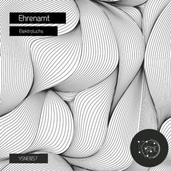 Elektroluchs – Ehrenamt