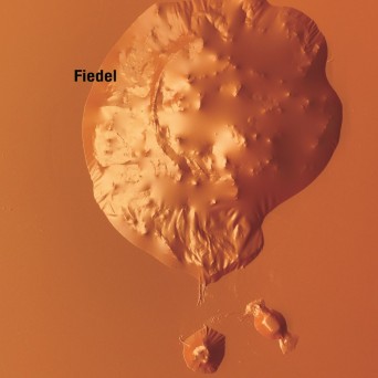 Fiedel – Substance B