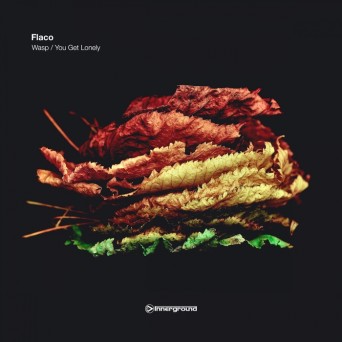 Flaco – Wasp / You Get Lonely