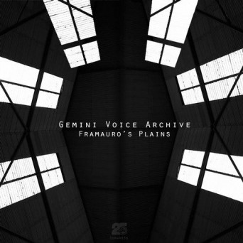 Gemini Voice Archive – Framauro’s Plains